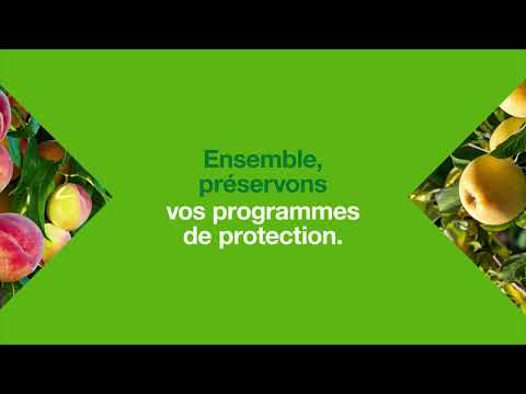   Une minute pour tout comprendre sur la Smart Protection
