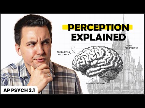 Perception at Disney World (AP Psychology Review Unit 2 Topic 1)