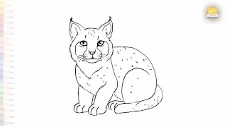 Bobcat drawing easy | Art tutorial | How to draw A Bobcat step by step easily | #artjanag