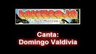 Luz Roja de San Marcos - Domingo Valdivia, Mix