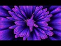 Tame Impala Nangs Slowed Reverb