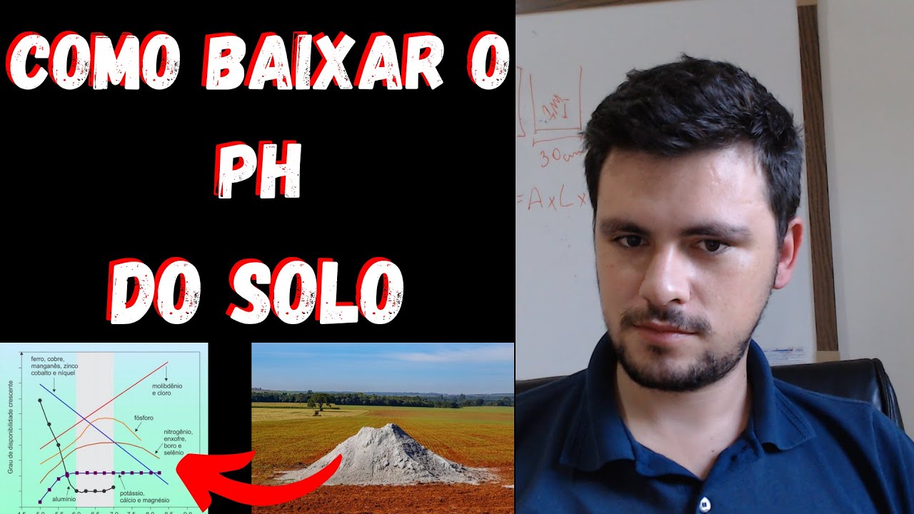 COMO BAIXAR o pH do solo I Problemas com solos alcalinos