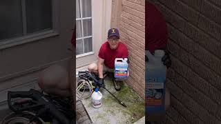 Wet &amp; Forget vs Bleach vs Pressure Washing, Which is Best? #backyard