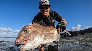 2 Epic days! Fishing & Diving | Fish at my feet