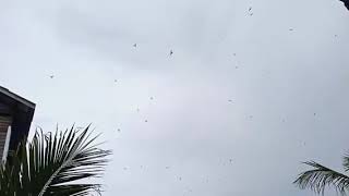 Download lagu tehnik putus jalur lintas BW teriak-teriak panggil yg lain .!! mp3