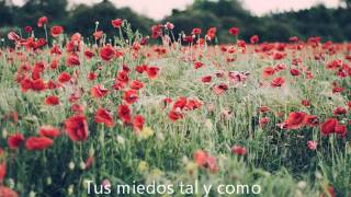 The Horrors - Scarlet Fields (Sub. Español)