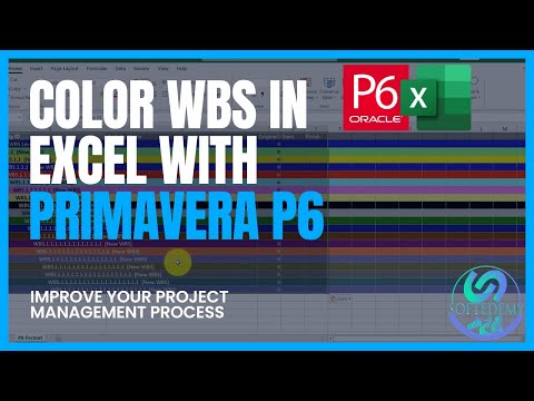Convert Primavera P6 Schedule to Excel Timeline Project Plan in Excel with Gantt Chart from P6