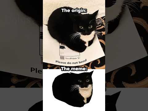Maxwell the Cat origin