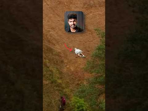 They Are Not Humans