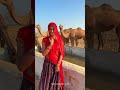 Rajasthan Rajasthan Culture Food Rajasthani Youtubeshorts Shorts Desi Video Villagelife