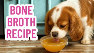 Bone Broth for Dogs Recipe | How to Make Homemade Slow Cooker Bone Broth For Dogs + Benefits