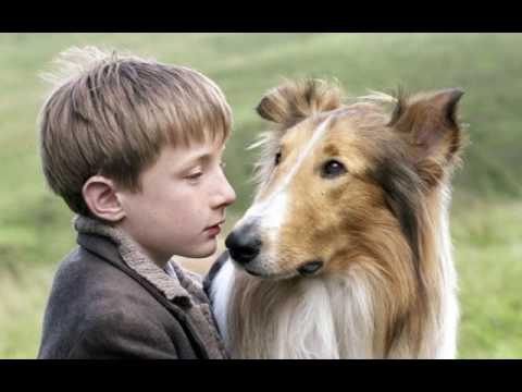 Lassie Come Home - Alphaville