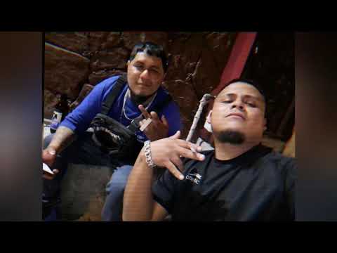 🌴Celso piña ft yeison landeros🌴la pava congona en vivo rebajada