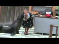 Junior Celebs Nicole With Busch Gardens