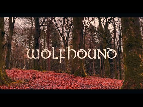 Wolfhound - Creggan White Hare