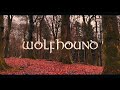 Wolfhound Creggan White Hare