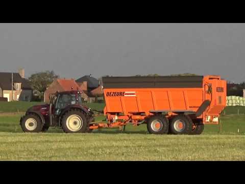 Loonw  Quintyn   Wingene