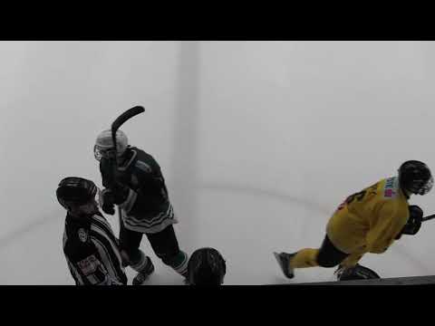 EBJL 15 FTC UPC Vvienna Capitals 2018 10 27