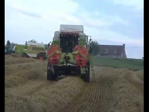 Willemyns: Maaidorsen.