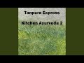 Kitchen Ayurveda 2
