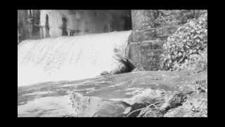 Трейлер превью