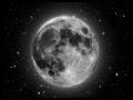 Magnetic Fields, I Have The Moon 