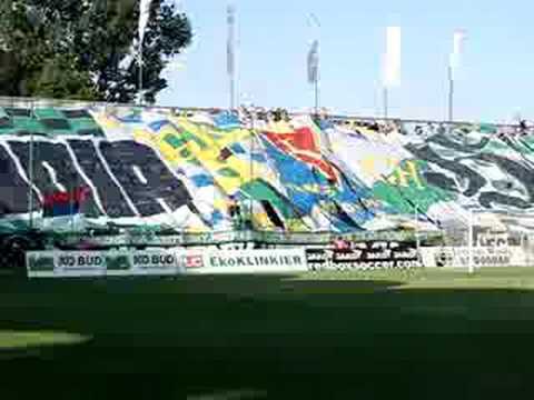 wschodnia horda live