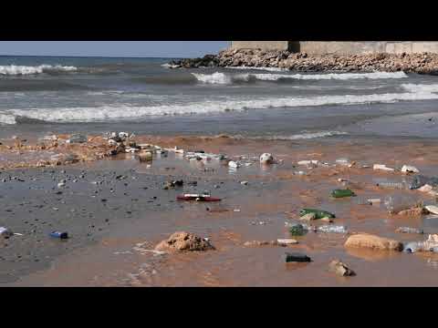 We made every living thing from water - Trailer