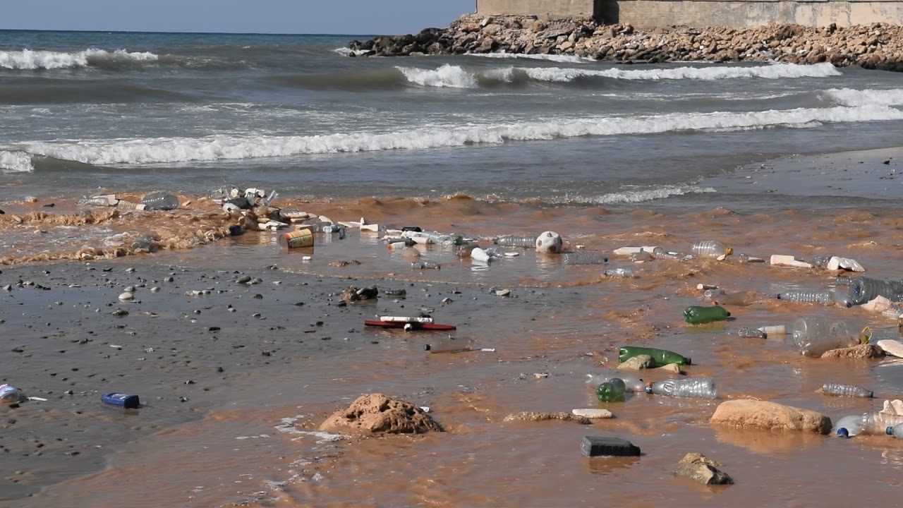 We Made Every Living Thing from Water — Official Trailer