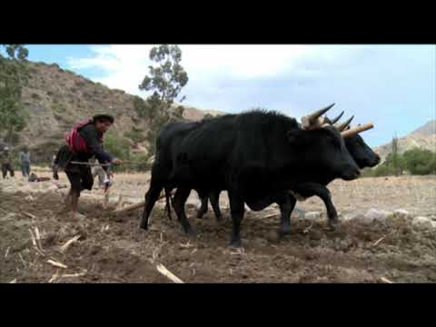 ENCUENTROS CON LA CULTURA QUECHUA DE CHILLMA MOLINO (CAIZA D POTOSÍ)