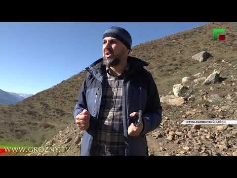 В Итум-Калинском районе идет реставрация старинных башен