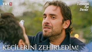 Şerif, Adil'in keçi sürüsünü zehirledi! - Taşacak Bu Deniz 5. Bölüm