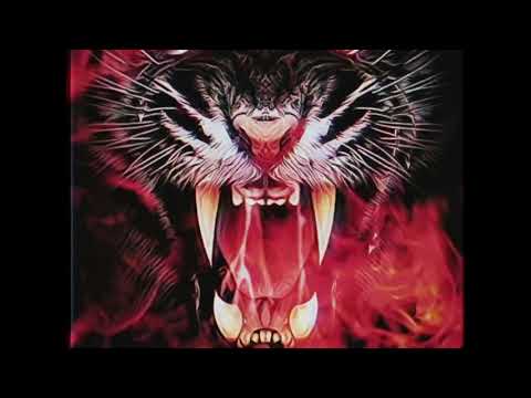 AVGN Life Of Black Tiger commercial