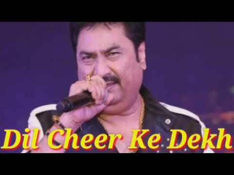 Dil Cheer Ke Dekh - Kumar Sanu