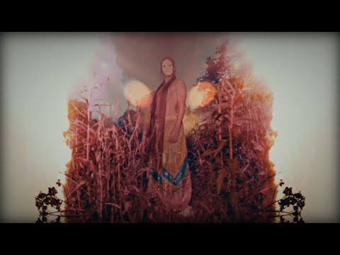 Pantha du Prince - Blume [Bendik HK Edit] (Official Video)
