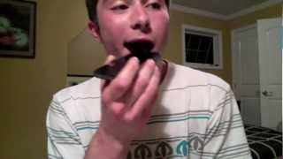 Ratatat - Germany to Germany (There&#39;s a Phone in My Mouth remix)