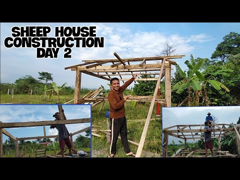 , title : 'SHEEP 🏡 HOUSE CONSTRUCTION DAY 2'