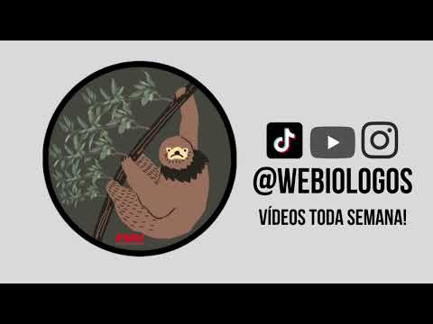 Aves Endêmicas do Brasil.