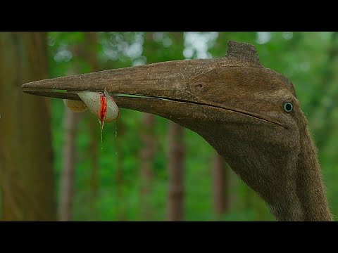 Quetzalcoatlus (Pterosaurs AGAINST THE COMPETITION) | Documentary Prehistoric Planet