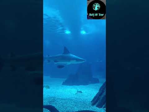 Switzerland political structure - Cantonal system