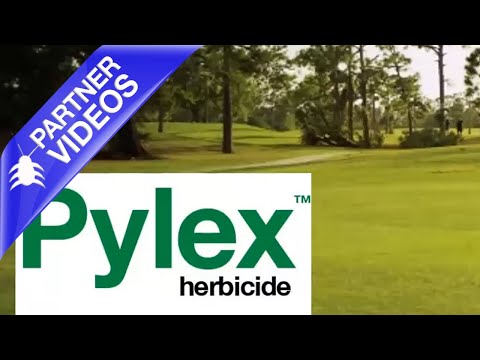  Pylex Introduction Video 