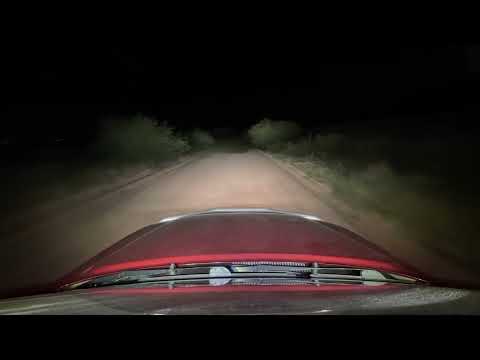 Night Drive
