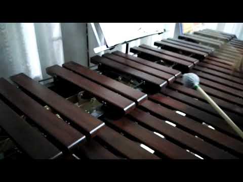 Inni di lode N°499: Sulla Croce Gesù Marimba Cover