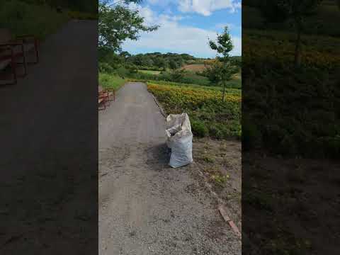 Descubre el parque más hermoso de America  #vacaciones #turismo #brasil