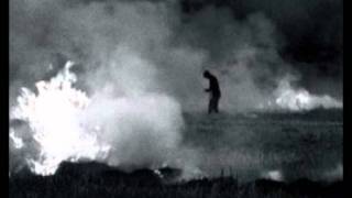 Tru Stu- Verbrannte Erde