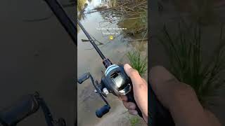 Download lagu story wa mancing mp3