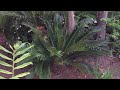 No-solder Fireflies / Lightning Bugs 1