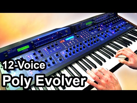 DSI POLY EVOLVER (12 Voices) - Ambient Chillout Soundscape - Dave Smith Instruments 【SYNTH DEMO】