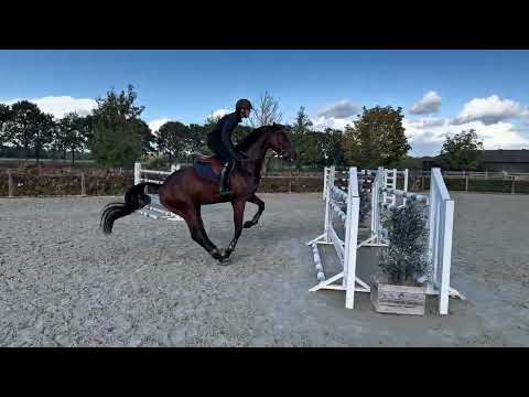phenomenal video 1