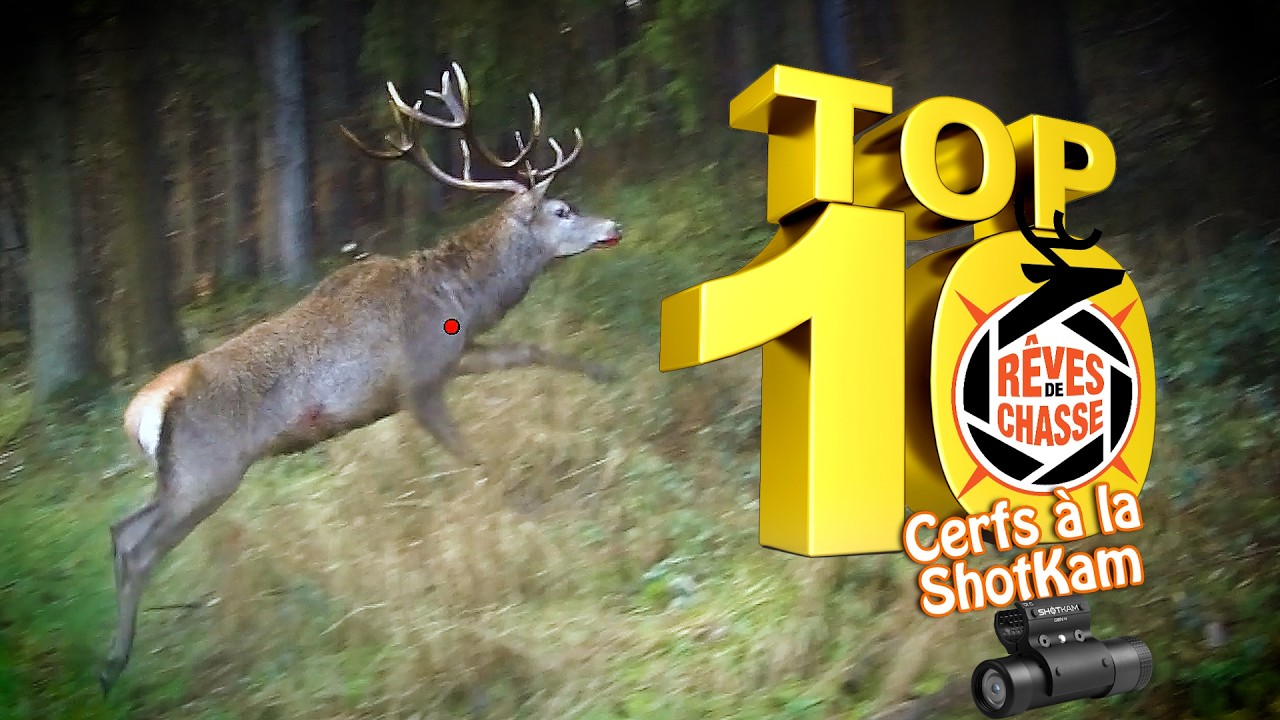 Top 10 Rêves De Chasse n°40 - Février 2026 -  Cerfs en battue à la ShotKam - Top 30